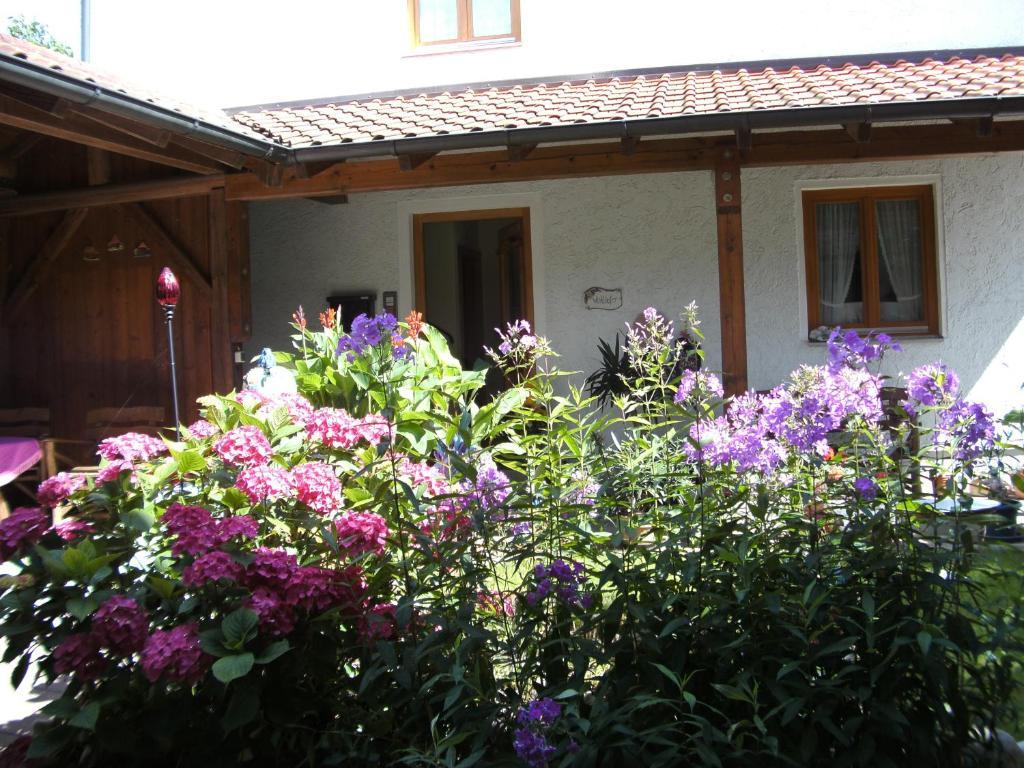 באד פיסינג Appartementhaus Elisabeth Winklhofer חדר תמונה